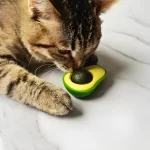 Abacate De Brinquedo Com Catnip Para Gatos - Imagem 4