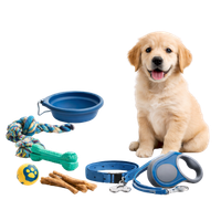 Produtos para pets como acessórios, cuidados, higiene e bem-estar animal